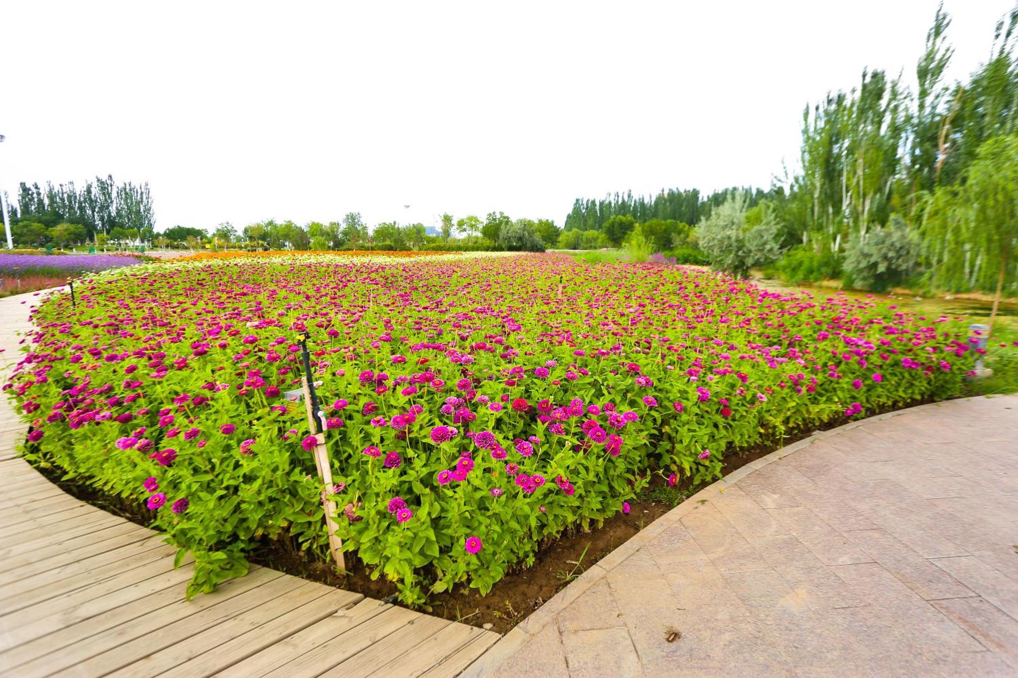 Primus Hotel Yinchuan Esterno foto