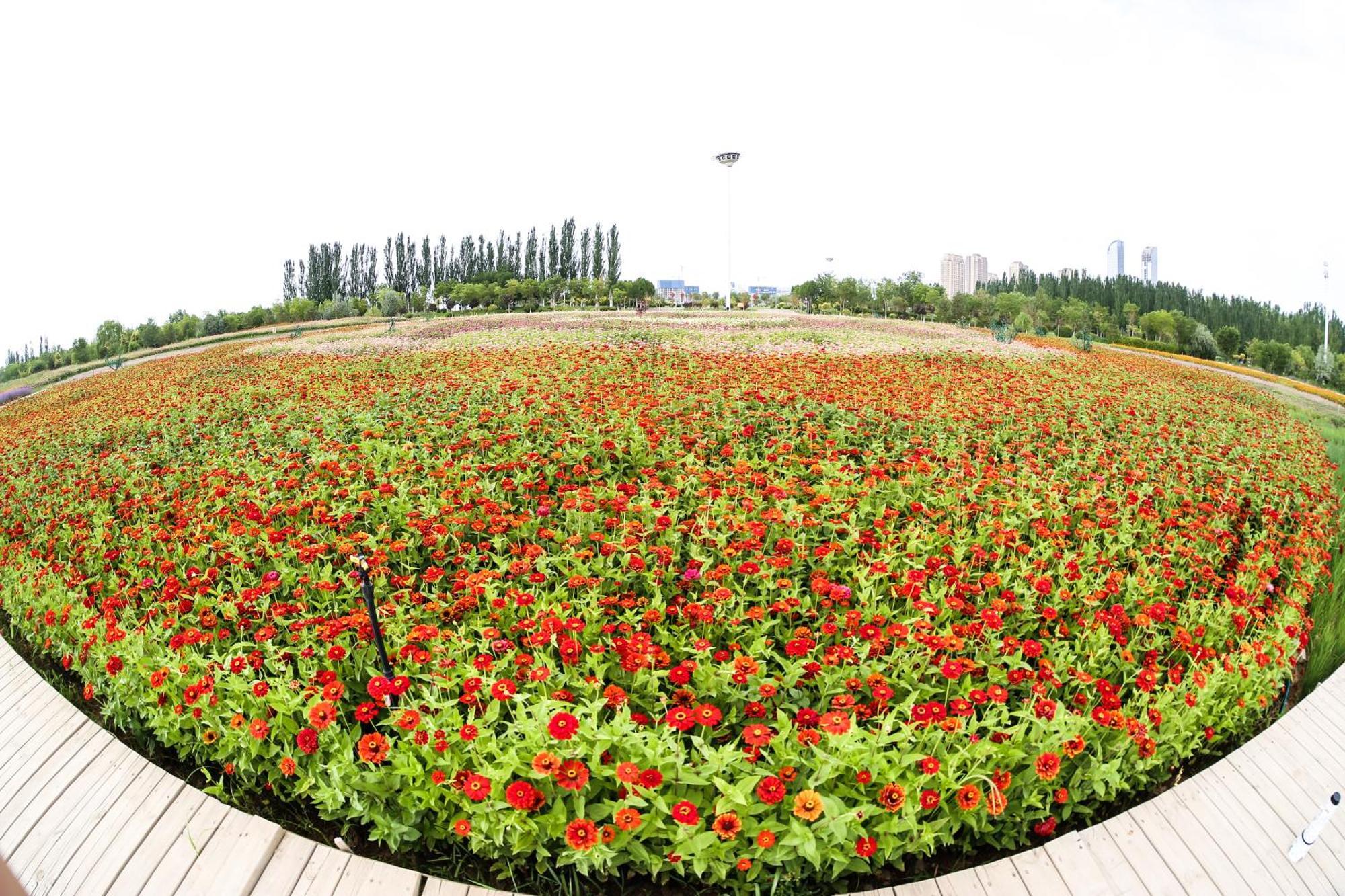 Primus Hotel Yinchuan Esterno foto