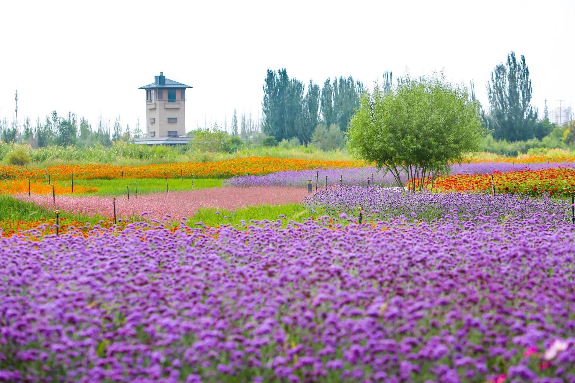 Primus Hotel Yinchuan Esterno foto