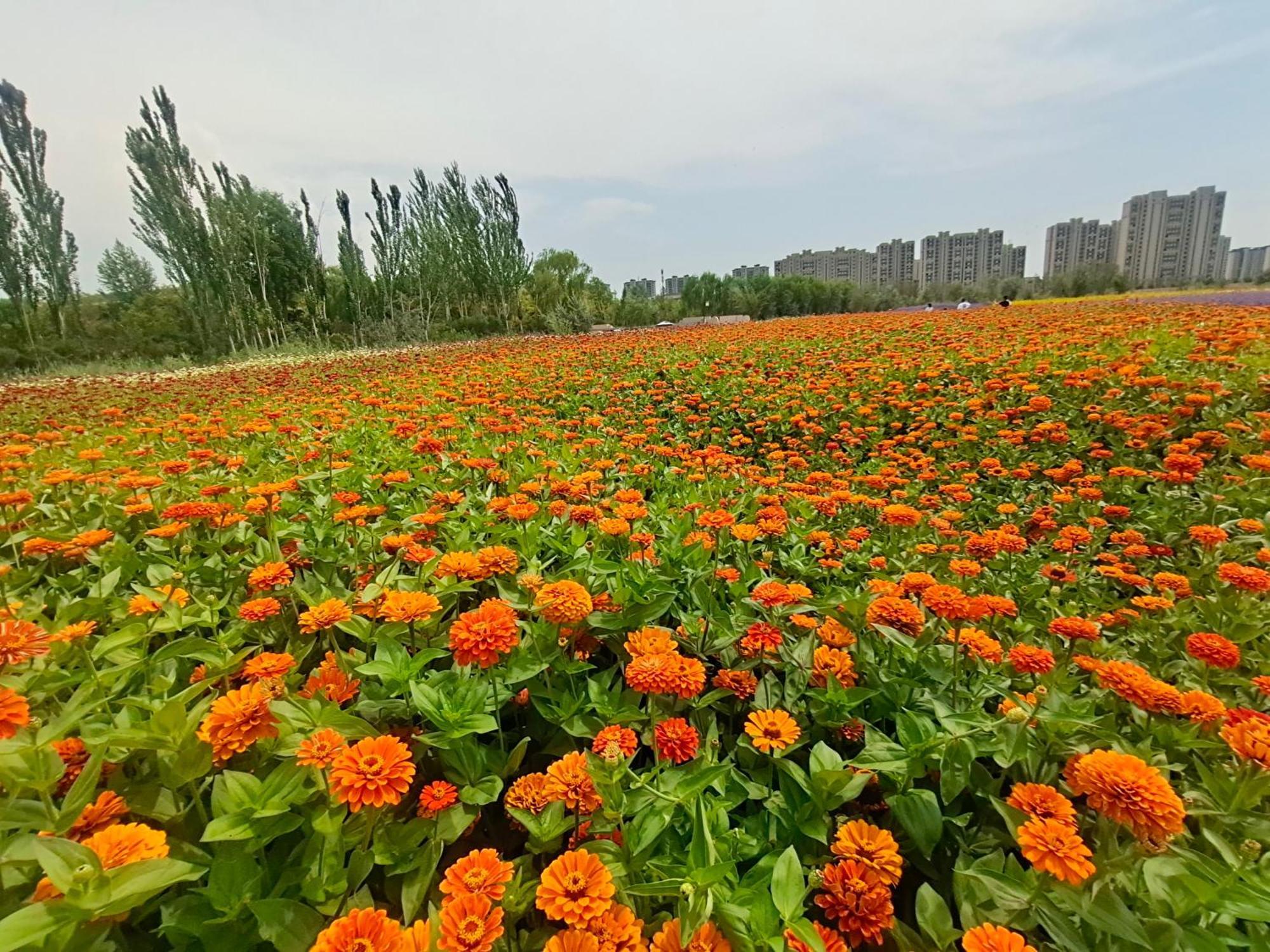 Primus Hotel Yinchuan Esterno foto